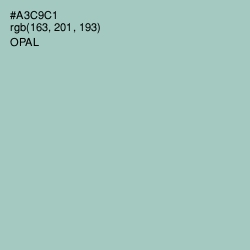 #A3C9C1 - Opal Color Image