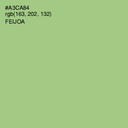 #A3CA84 - Feijoa Color Image