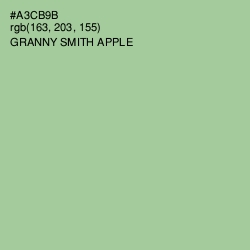 #A3CB9B - Granny Smith Apple Color Image