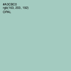 #A3CBC0 - Opal Color Image