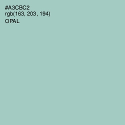 #A3CBC2 - Opal Color Image