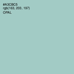 #A3CBC5 - Opal Color Image