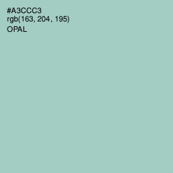 #A3CCC3 - Opal Color Image