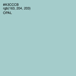 #A3CCCB - Opal Color Image