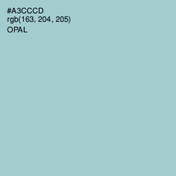 #A3CCCD - Opal Color Image