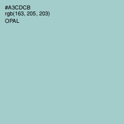 #A3CDCB - Opal Color Image