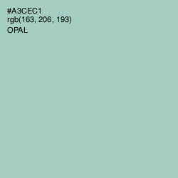 #A3CEC1 - Opal Color Image