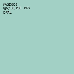 #A3D0C5 - Opal Color Image