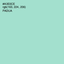 #A3E0CE - Padua Color Image