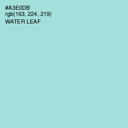 #A3E0DB - Water Leaf Color Image