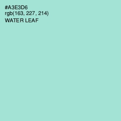 #A3E3D6 - Water Leaf Color Image