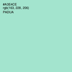 #A3E4CE - Padua Color Image