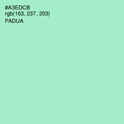 #A3EDCB - Padua Color Image
