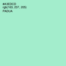 #A3EDCD - Padua Color Image