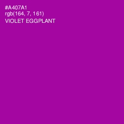 #A407A1 - Violet Eggplant Color Image