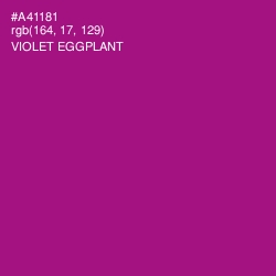 #A41181 - Violet Eggplant Color Image