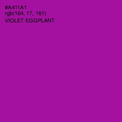 #A411A1 - Violet Eggplant Color Image