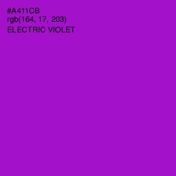 #A411CB - Electric Violet Color Image