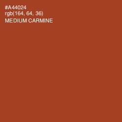 #A44024 - Medium Carmine Color Image