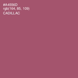 #A4556D - Cadillac Color Image