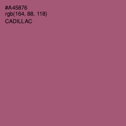 #A45876 - Cadillac Color Image