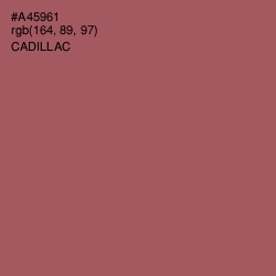 #A45961 - Cadillac Color Image