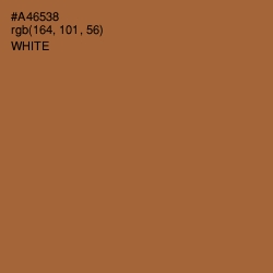 #A46538 - Copper Color Image