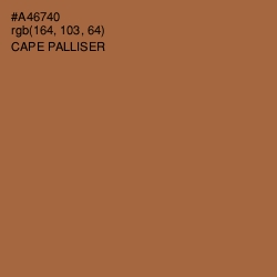 #A46740 - Cape Palliser Color Image