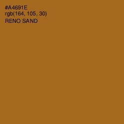 #A4691E - Reno Sand Color Image