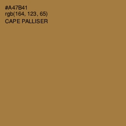 #A47B41 - Cape Palliser Color Image