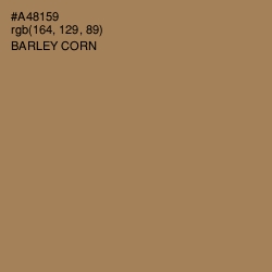 #A48159 - Barley Corn Color Image