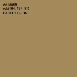 #A4895B - Barley Corn Color Image