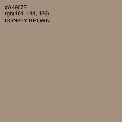 #A4907E - Donkey Brown Color Image