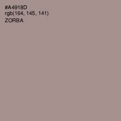 #A4918D - Zorba Color Image