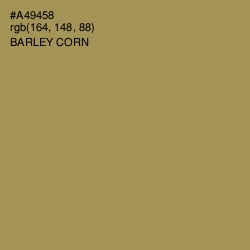 #A49458 - Barley Corn Color Image