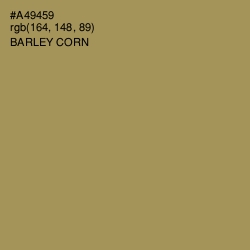 #A49459 - Barley Corn Color Image