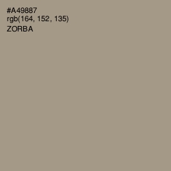 #A49887 - Zorba Color Image