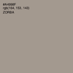 #A4998F - Zorba Color Image