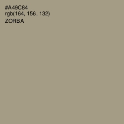 #A49C84 - Zorba Color Image
