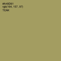 #A49D61 - Teak Color Image