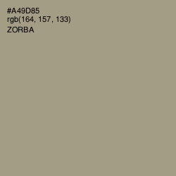 #A49D85 - Zorba Color Image