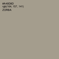 #A49D8D - Zorba Color Image