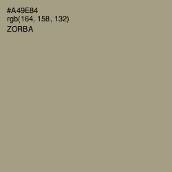 #A49E84 - Zorba Color Image