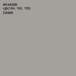 #A4A09B - Dawn Color Image