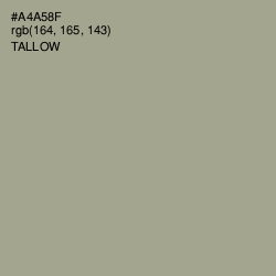 #A4A58F - Tallow Color Image