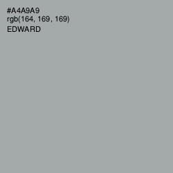 #A4A9A9 - Edward Color Image