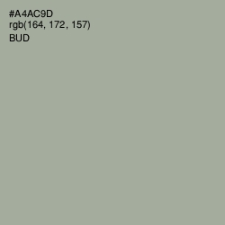 #A4AC9D - Bud Color Image