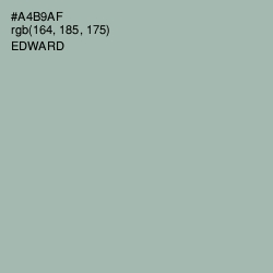 #A4B9AF - Edward Color Image