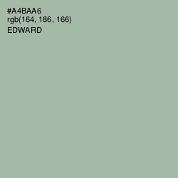 #A4BAA6 - Edward Color Image
