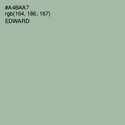 #A4BAA7 - Edward Color Image